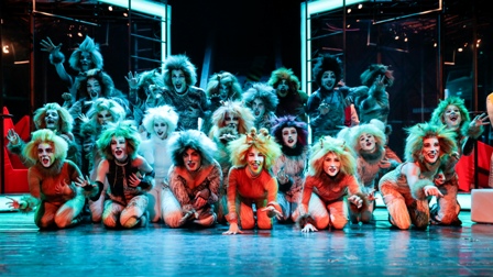 Svetový muzikálový hit MAČKY – CATS na Novej scéne Svetový muzikálový hit MAČKY – CATS na Novej scéne