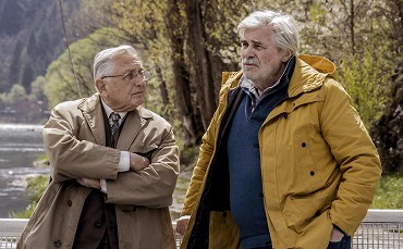 Slnko v sieti ovládol film Tlmočník, dominoval až v 6 kategóriách﻿